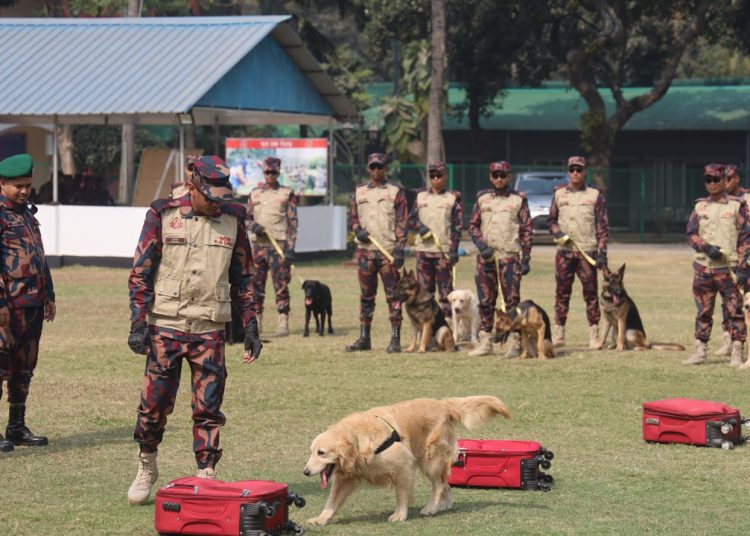 জাতীয় সংসদ নির্বাচন ও গণভোটকে সামনে রেখে বিজিবির মহড়া