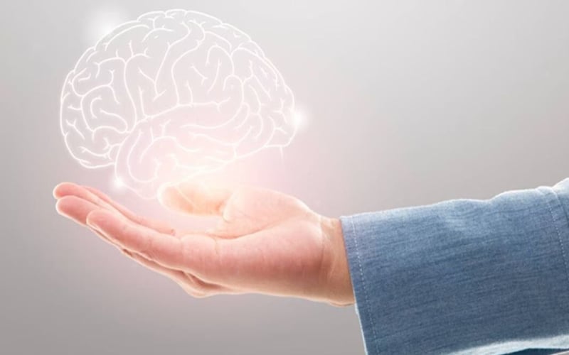 মস্তিষ্কের বার্ধক্য ধীর করার সহজ ৬টি অভ্যাস!