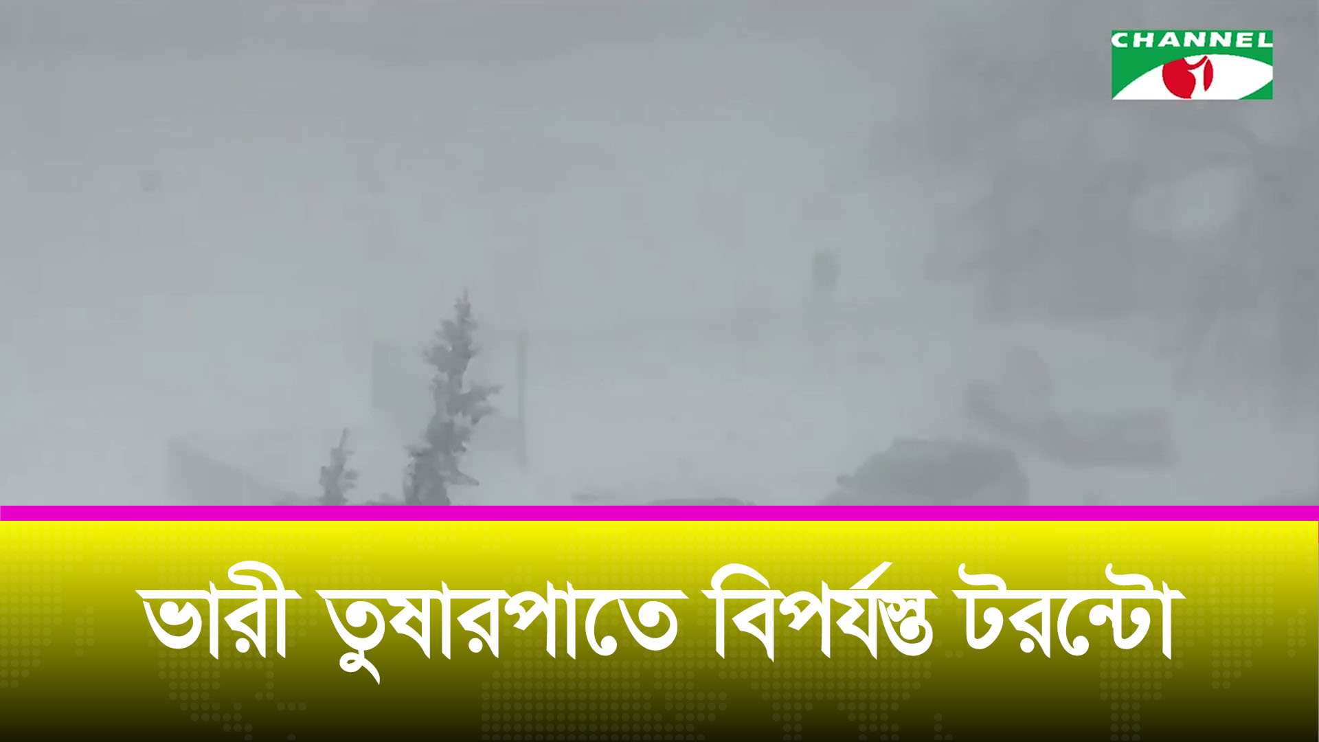 ভারী তুষারপাতে বিপর্যস্ত টরন্টো