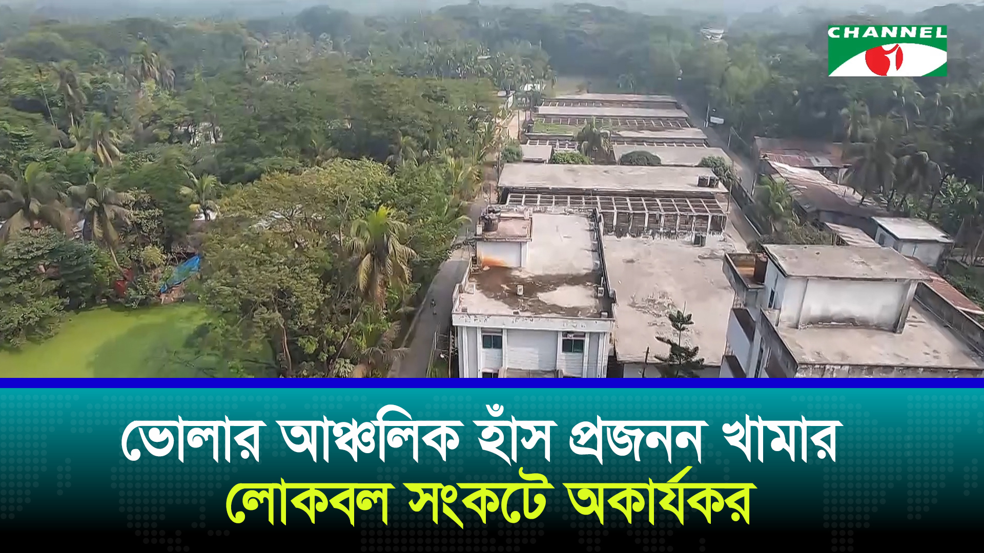 ভোলায় সরকারি হাঁস প্রজনন খামার অচল