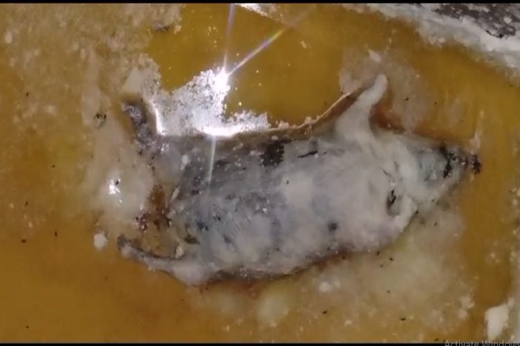 ছবি: প্রতিনিধি