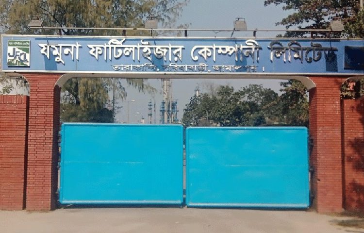 ছবি সংগৃহীত
