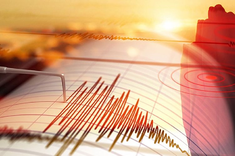 ছবি সংগৃহীত