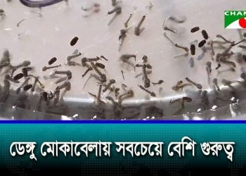 Government working to provide quick relief to city dwellers from mosquito bites: Health Minister