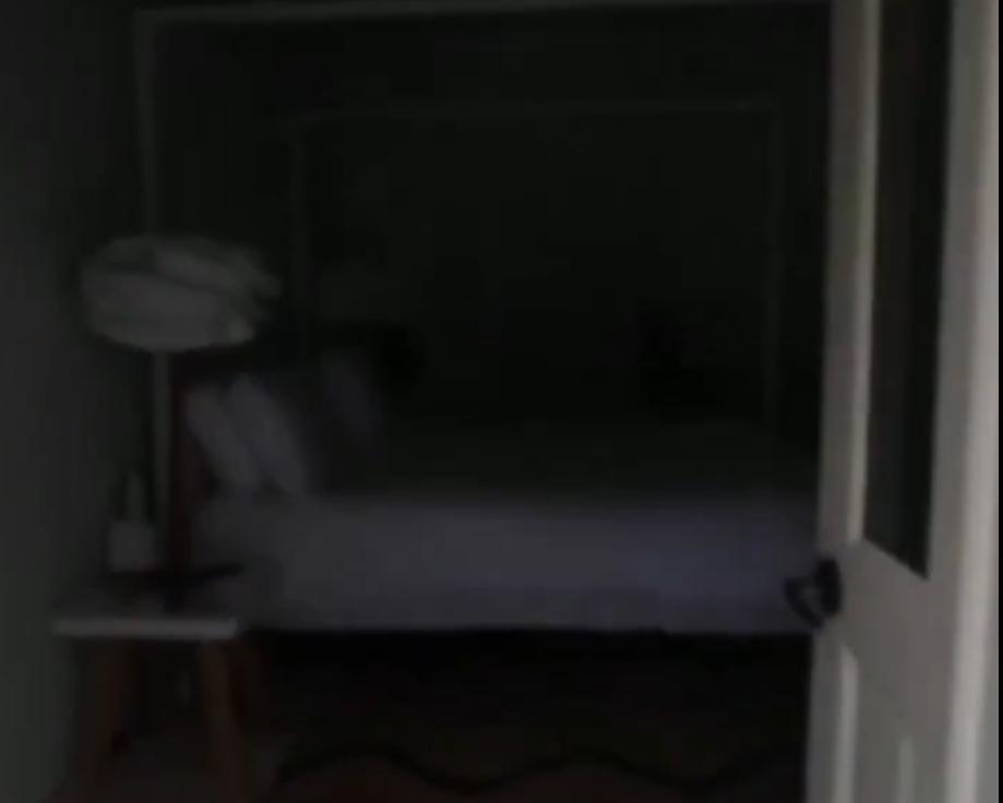 অ্যাপস্টেইন ফাইলস: তোলপাড় তোলা ভিডিও-১