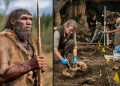 নিয়ানডার্থালরা কি আমাদের চেয়েও শক্তিশালী ছিল