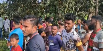 ছবি: প্রতিনিধি।