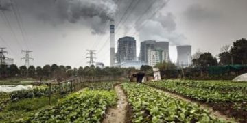 চীনের একটি কয়লাভিত্তিক বিদ্যুৎ কেন্দ্র