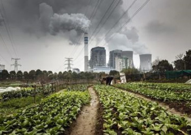 চীনের একটি কয়লাভিত্তিক বিদ্যুৎ কেন্দ্র