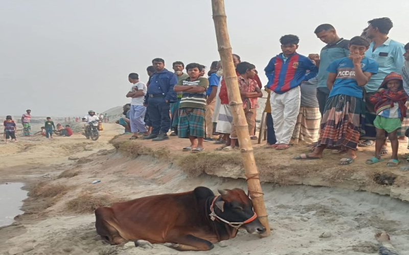 কিশোরগঞ্জে গরু চুরির অভিযোগে গণপিটুনিতে নিহত ১