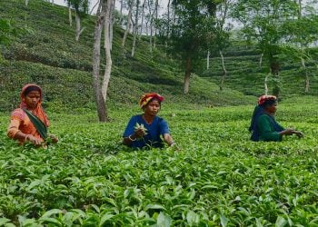 ছবি; প্রতিনিধি