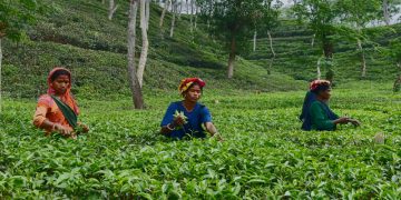 ছবি; প্রতিনিধি