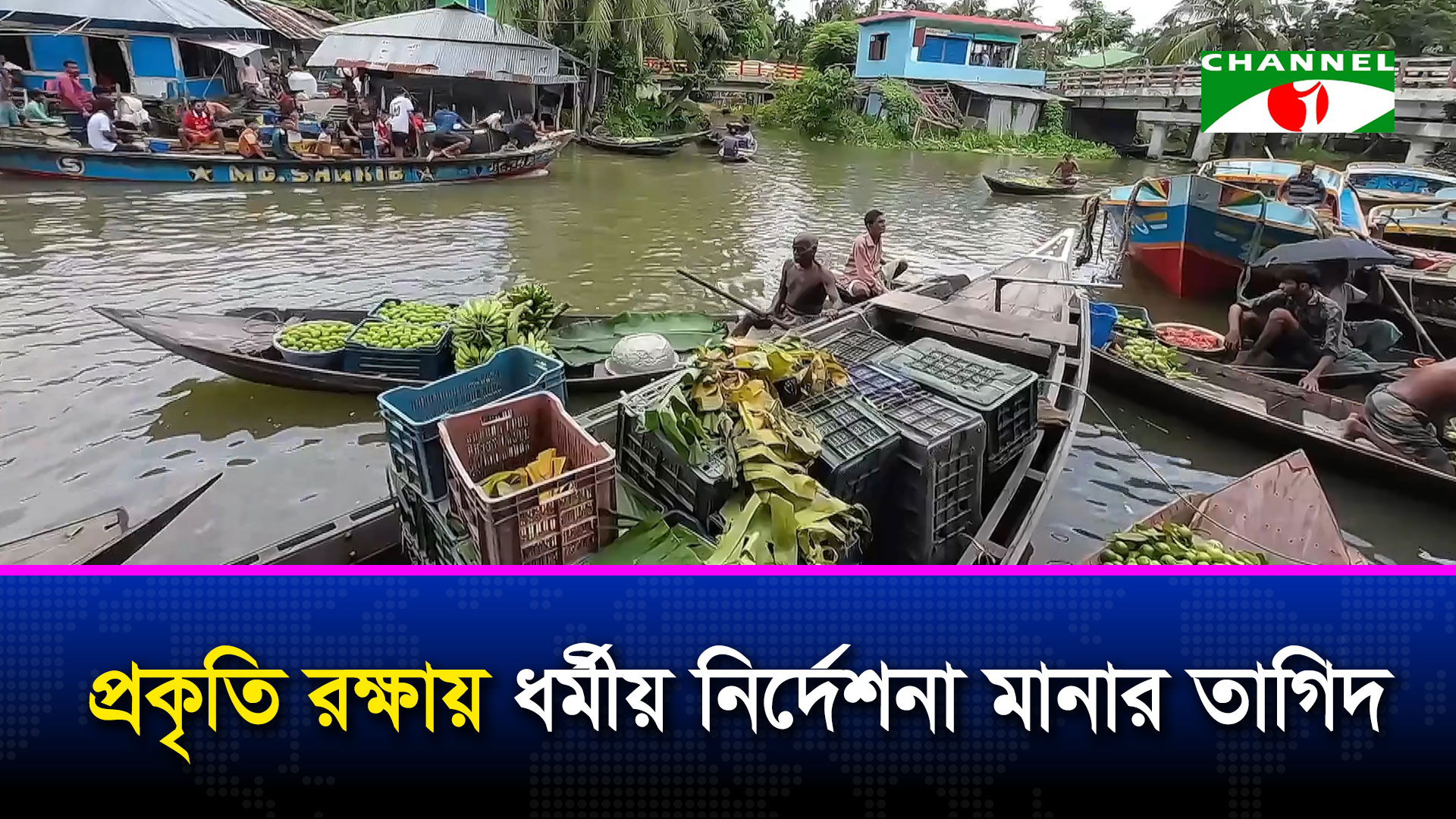 প্রকৃতি রক্ষায় ধর্মীয় নির্দেশনা মানার তাগিদ, হুমকিতে জীববৈচিত্র্য