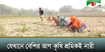 বগুড়ায় টিএমএসএসের রাসায়নিক সারমুক্ত কৃষি