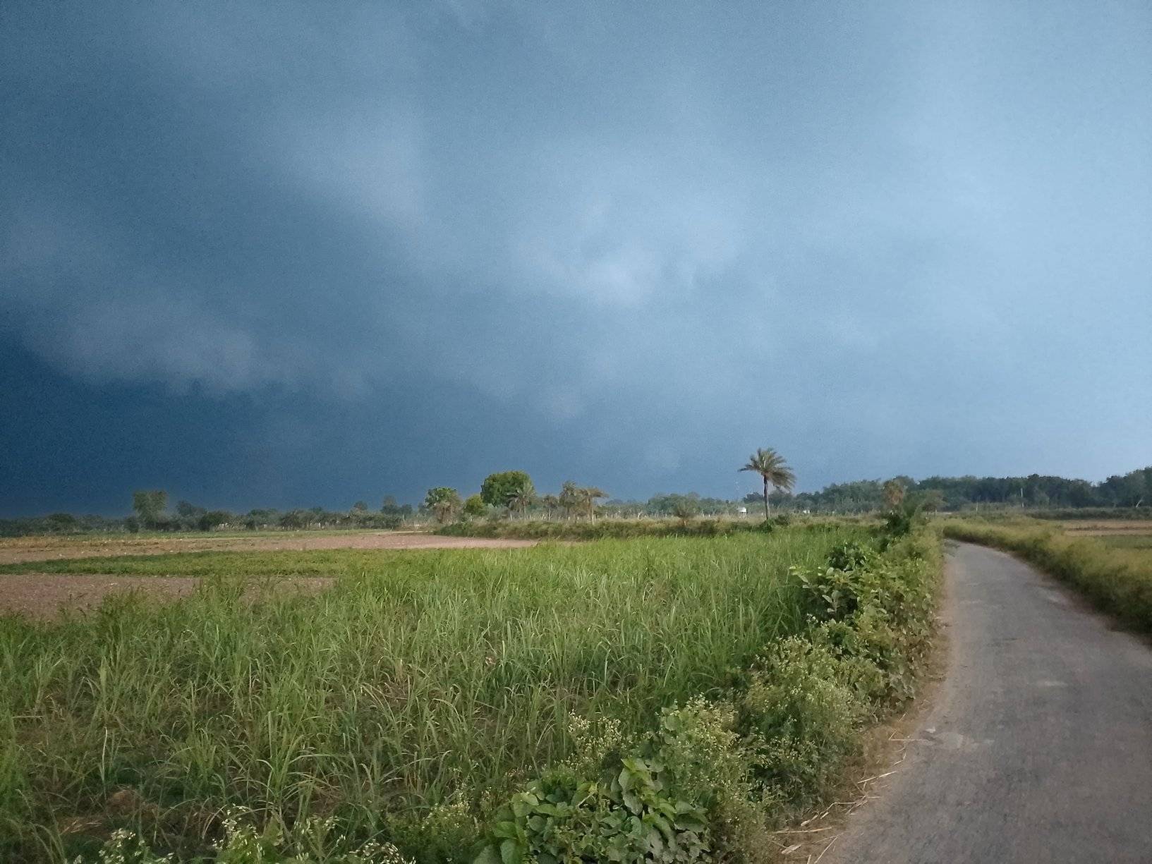 দেশজুড়ে দমকা হাওয়া ও বজ্রসহ বৃষ্টির পূর্বাভাস