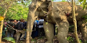 ছবি: প্রতিনিধি