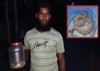 ছবি: প্রতিনিধি