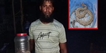ছবি: প্রতিনিধি