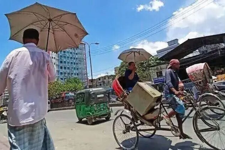 ছবি: সংগৃহীত