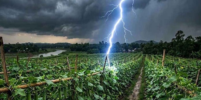 ছয় জেলায় বজ্রপাতে ১২ জনের মৃত্যু