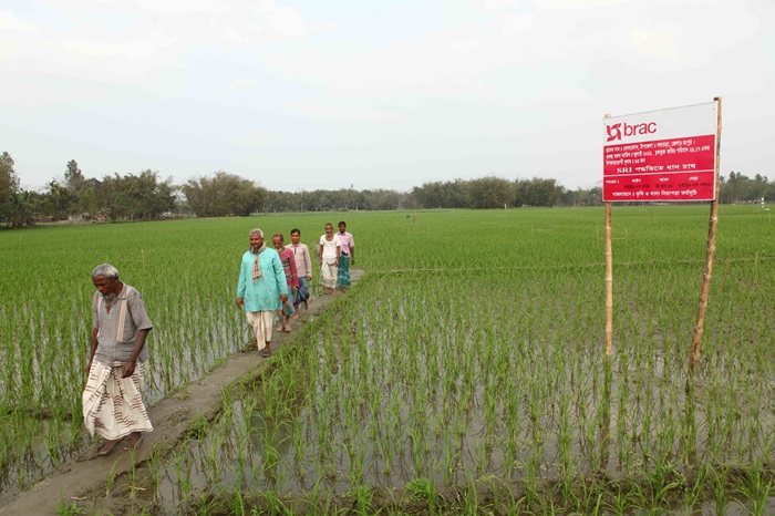 কৃষি ও সামাজিক কার্যক্রমে ব্র্যাকের ৫৩ কোটি টাকার বিশেষ কর্মসূচি ঘোষণা
