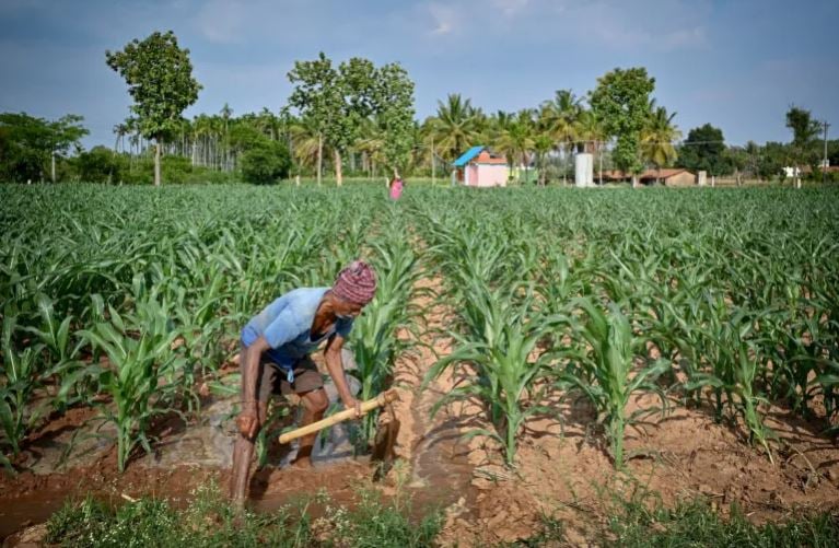 বিশ্বব্যাপী খাদ্যসংকট ক্রমেই বাড়ছে: ঝুঁকিতে বাংলাদেশ