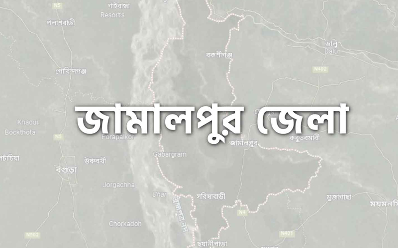 ঘরের উপর গাছ পড়ে মা ও দুই মেয়ে নিহত