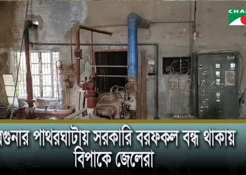 বরগুনার পাথরঘাটায় সরকারি বরফকল বন্ধ থাকায় বিপাকে জেলেরা