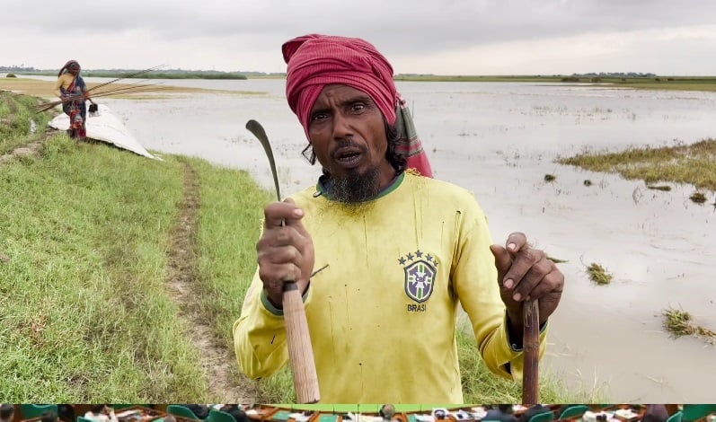 বিশ্বকাপ দেখার আনন্দও হারালেন ব্রাজিল সমর্থক কৃষক সিরাজ