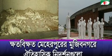 মেহেরপুরের মুজিবনগরে ঐতিহাসিক নিদর্শনগুলো পড়ে আছে ক্ষতবিক্ষত অবস্থায়