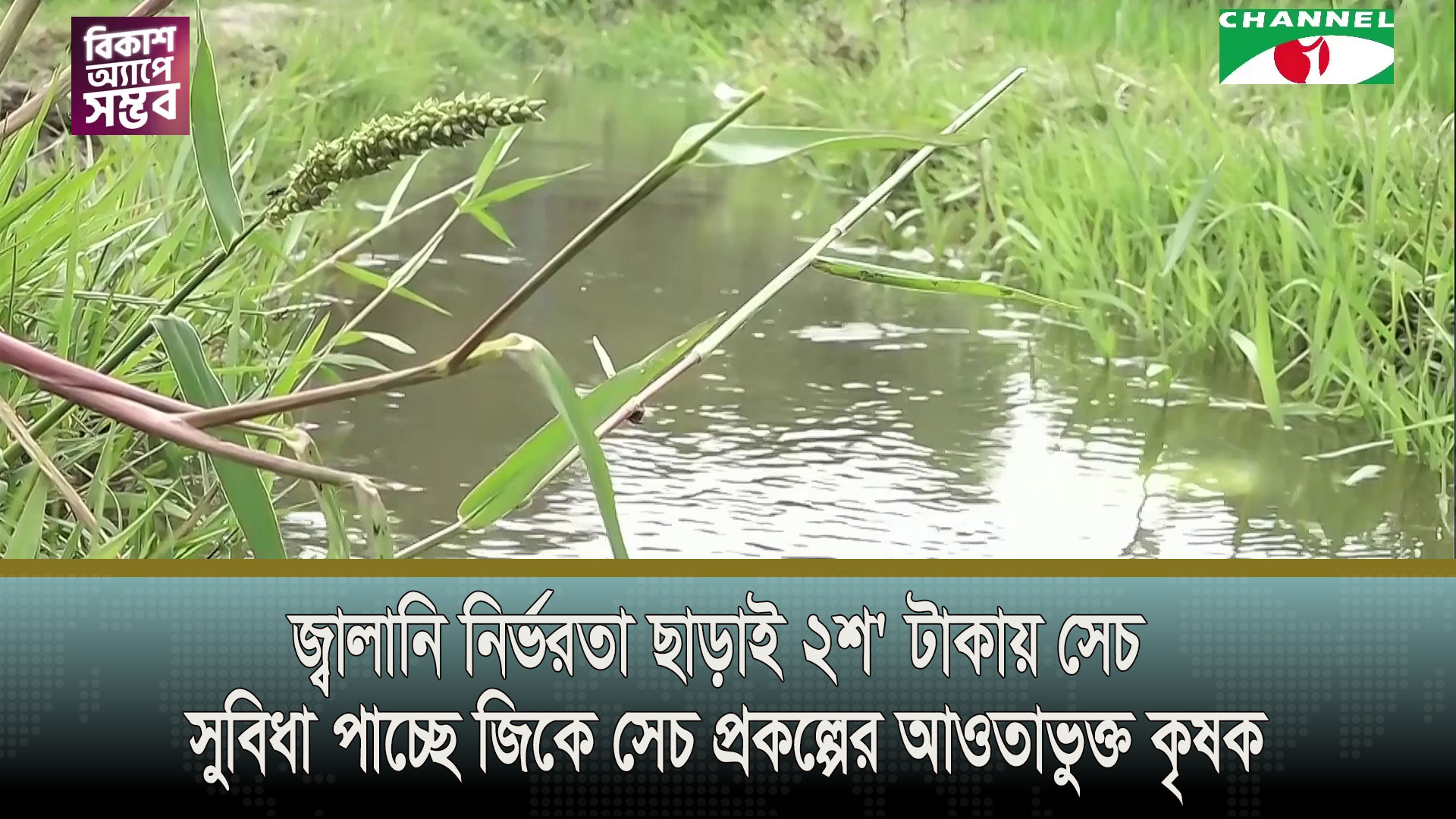 জ্বালানি নির্ভরতা ছাড়াই ২শ’ টাকায় সেচ সুবিধা পাচ্ছে জিকে সেচ প্রকল্পের আওতাভুক্ত কৃষক