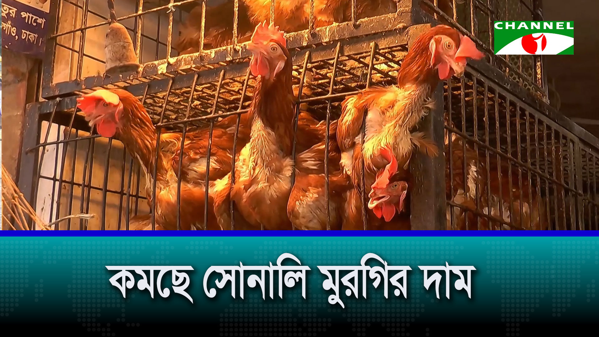 বাজারে সয়াবিন তেলের ঘাটতি