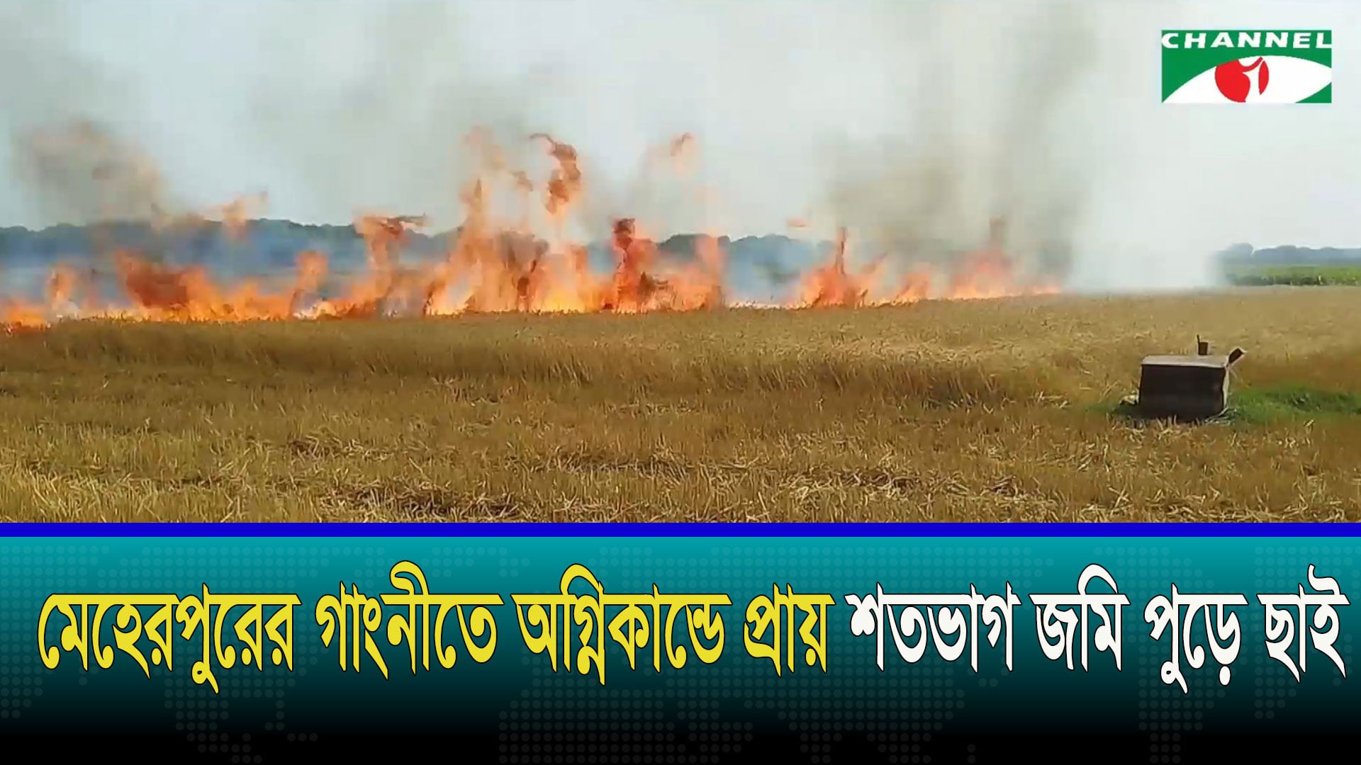 মেহেরপুরে আগুনে পুড়ল প্রায় ১০০ বিঘা জমির গম