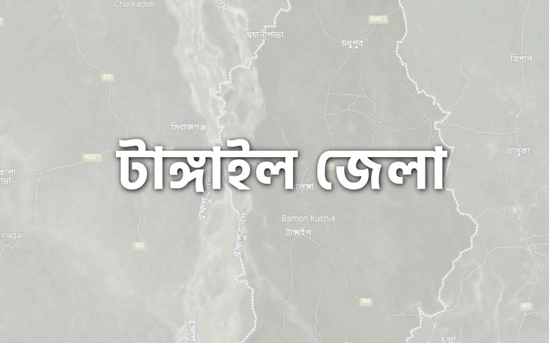মাদকের টাকা না পেয়ে স্ত্রীকে পুড়িয়ে হত্যার অভিযোগ
