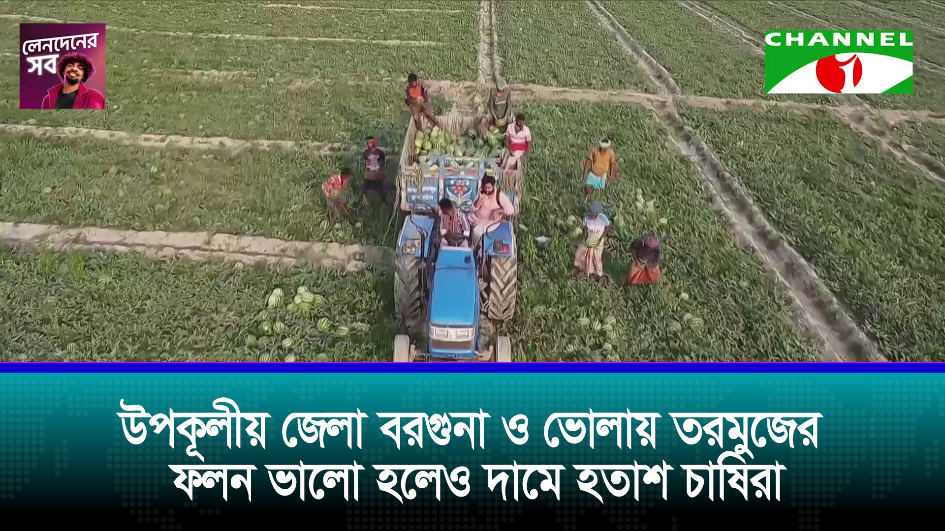 উপকূলীয় জেলা বরগুনা ও ভোলায় তরমুজের ফলন ভালো হলেও দামে হতাশ চাষিরা