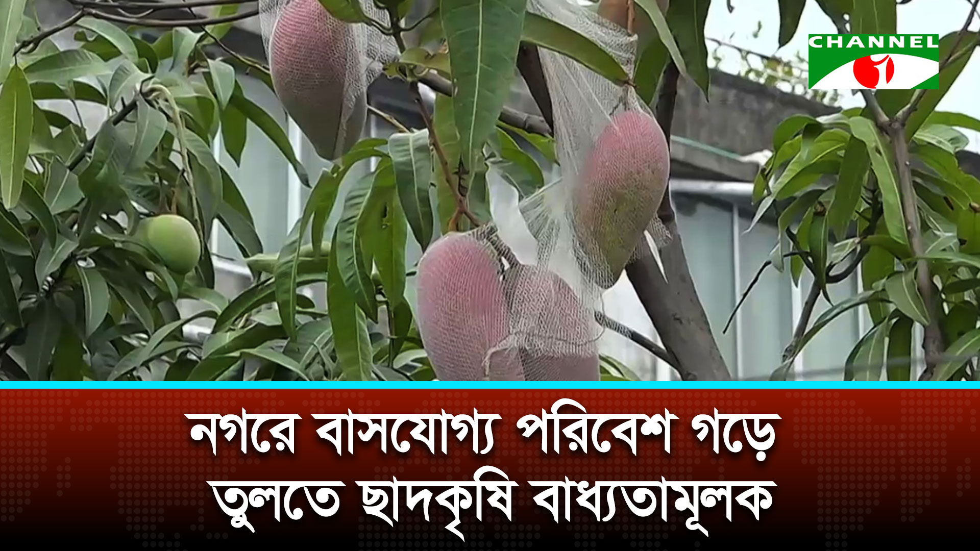 দূষিত নগরীর তালিকায় বার বার উঠে আসছে ঢাকার নাম | চ্যানেল আই অনলাইন