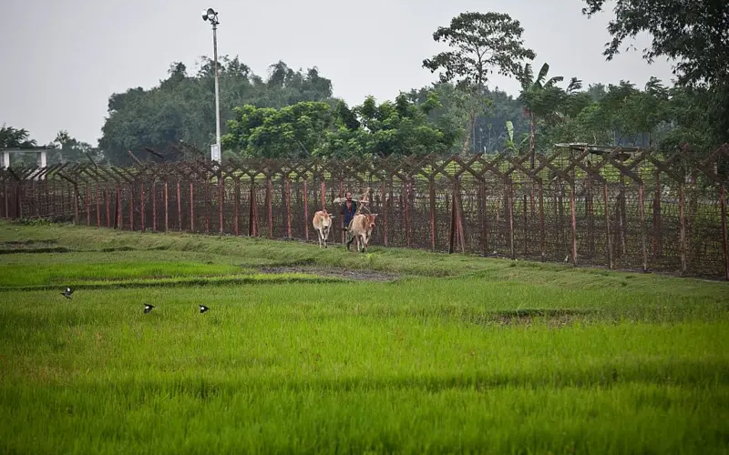 লালমনিরহাট সীমান্তে বিএসএফের গুলিতে বাংলাদেশি নাগরিক নিহত