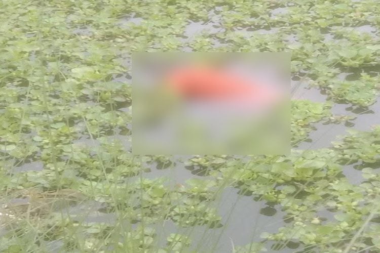 ছবি: প্রতিনিধি