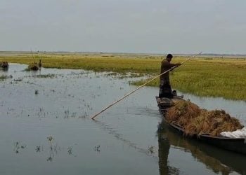 ছবি: প্রতিনিধি