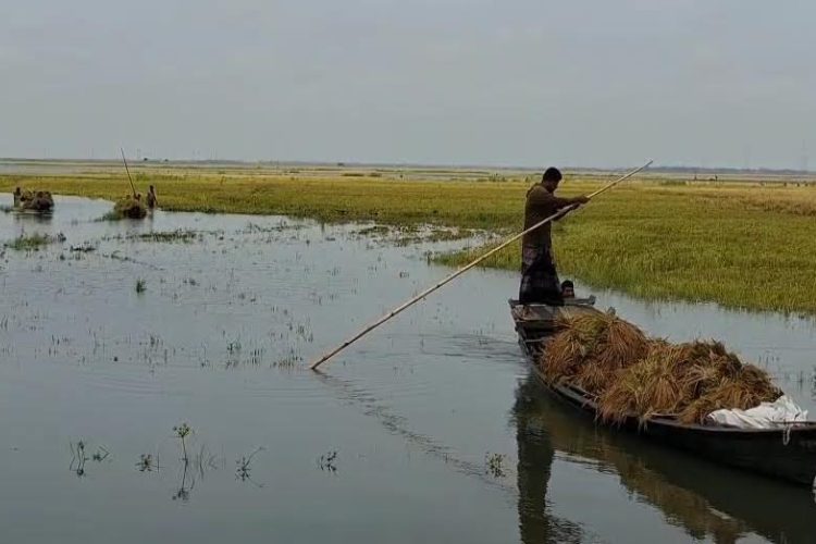 ছবি: প্রতিনিধি