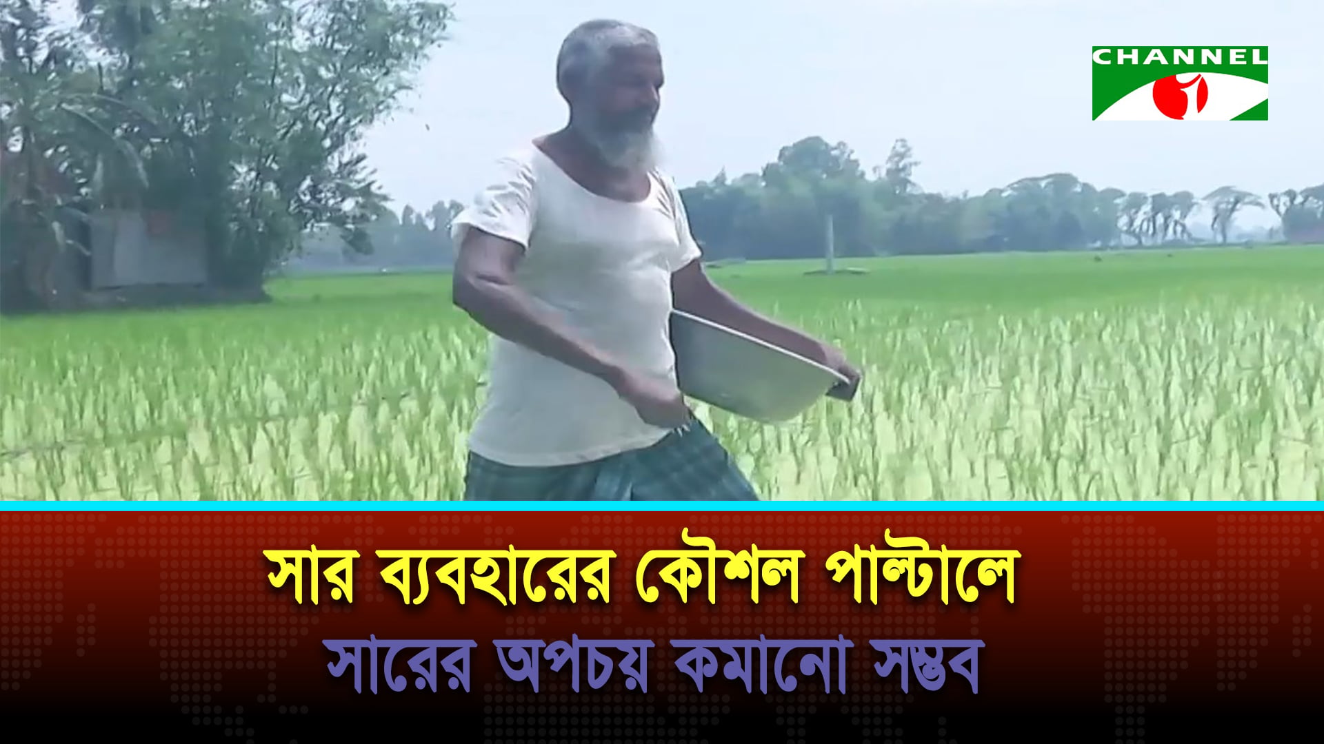 আমন মৌসুমে সার সঙ্কটের আশঙ্কা, শঙ্কায় কৃষক