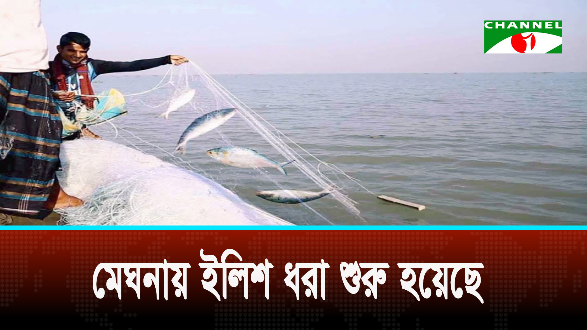 দু’মাস নিষেধাজ্ঞার পর  শুরু হয়েছে ইলিশ ধরা