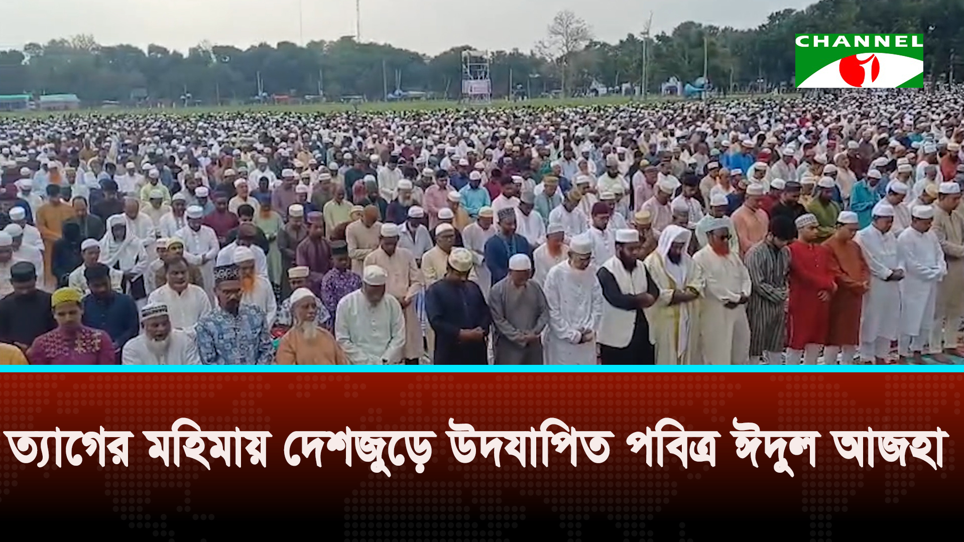 কোরবানির মধ্য দিয়ে সারাদেশে উদযাপিত হচ্ছে ঈদুল আজহা