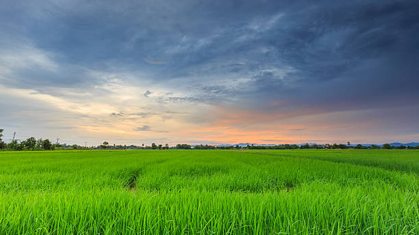 দুপুরের মধ্যে ৯ জেলায় ঝড়-বৃষ্টির আশঙ্কা