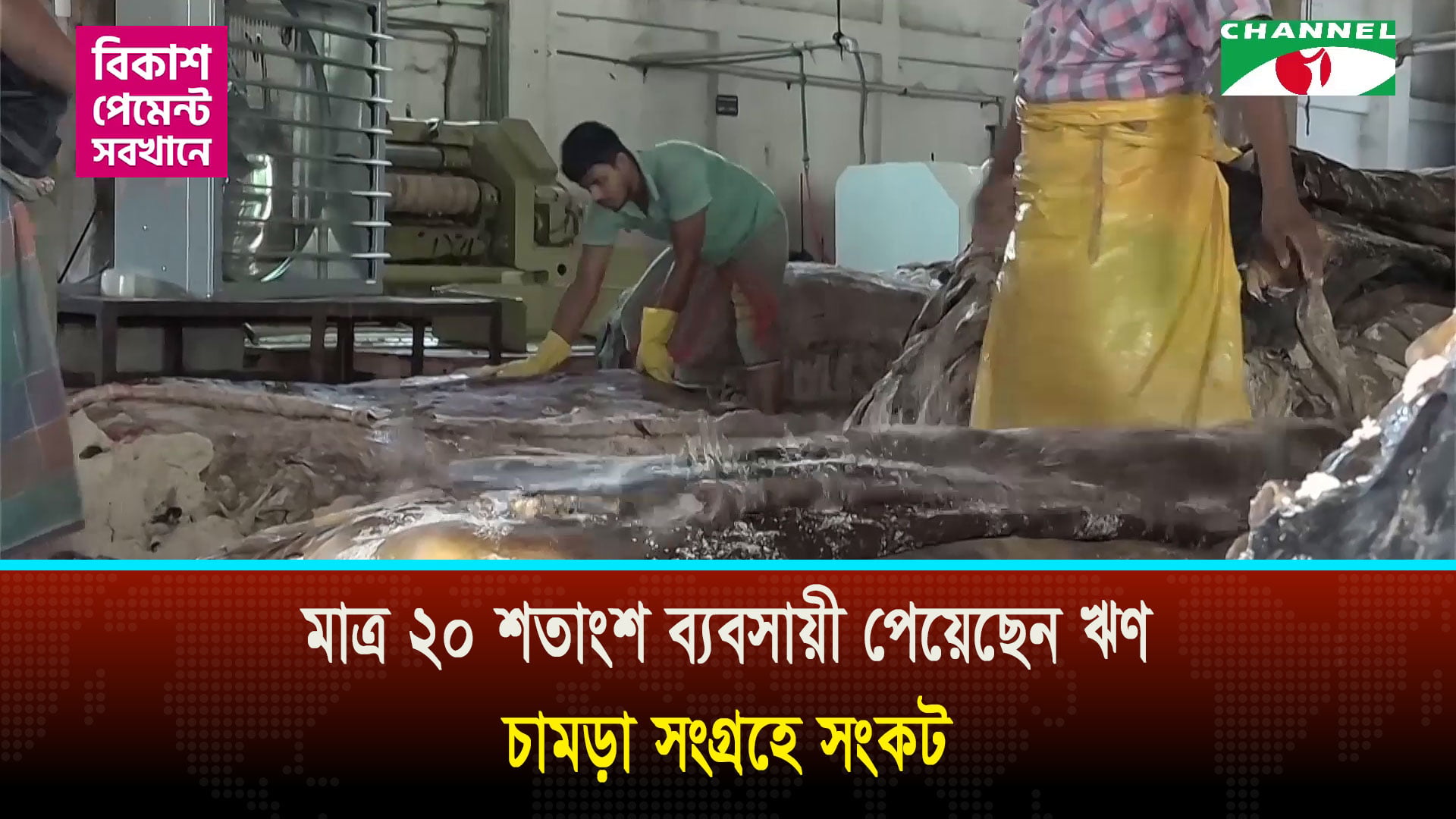 নগদ টাকার সংকটে চামড়া কিনতে পারেননি অধিকাংশ ট্যানারি ব্যবসায়ী