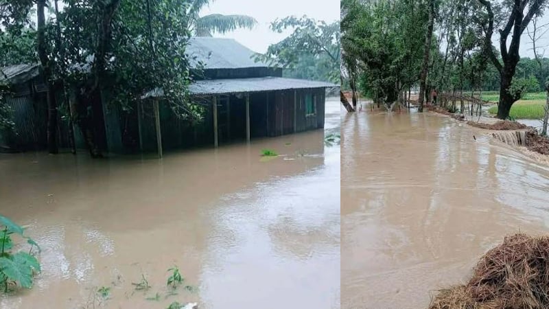 হঠাৎ বৃষ্টি ও পাহাড়ি ঢলে হালুয়াঘাটে শতাধিক হেক্টর ফসল তলিয়ে গেছে