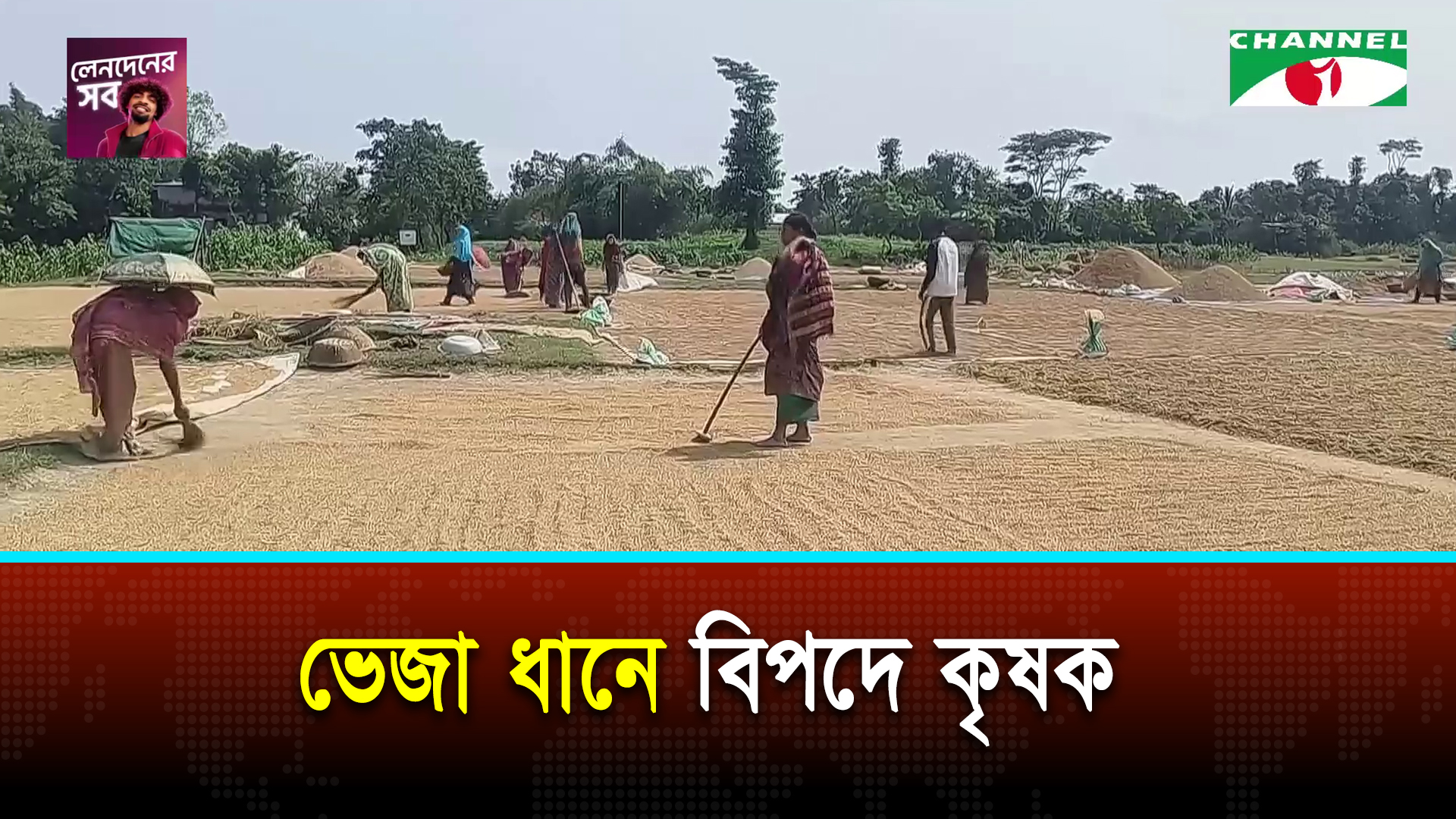 আগেই ধান কেনা শুরু করেছে সরকার