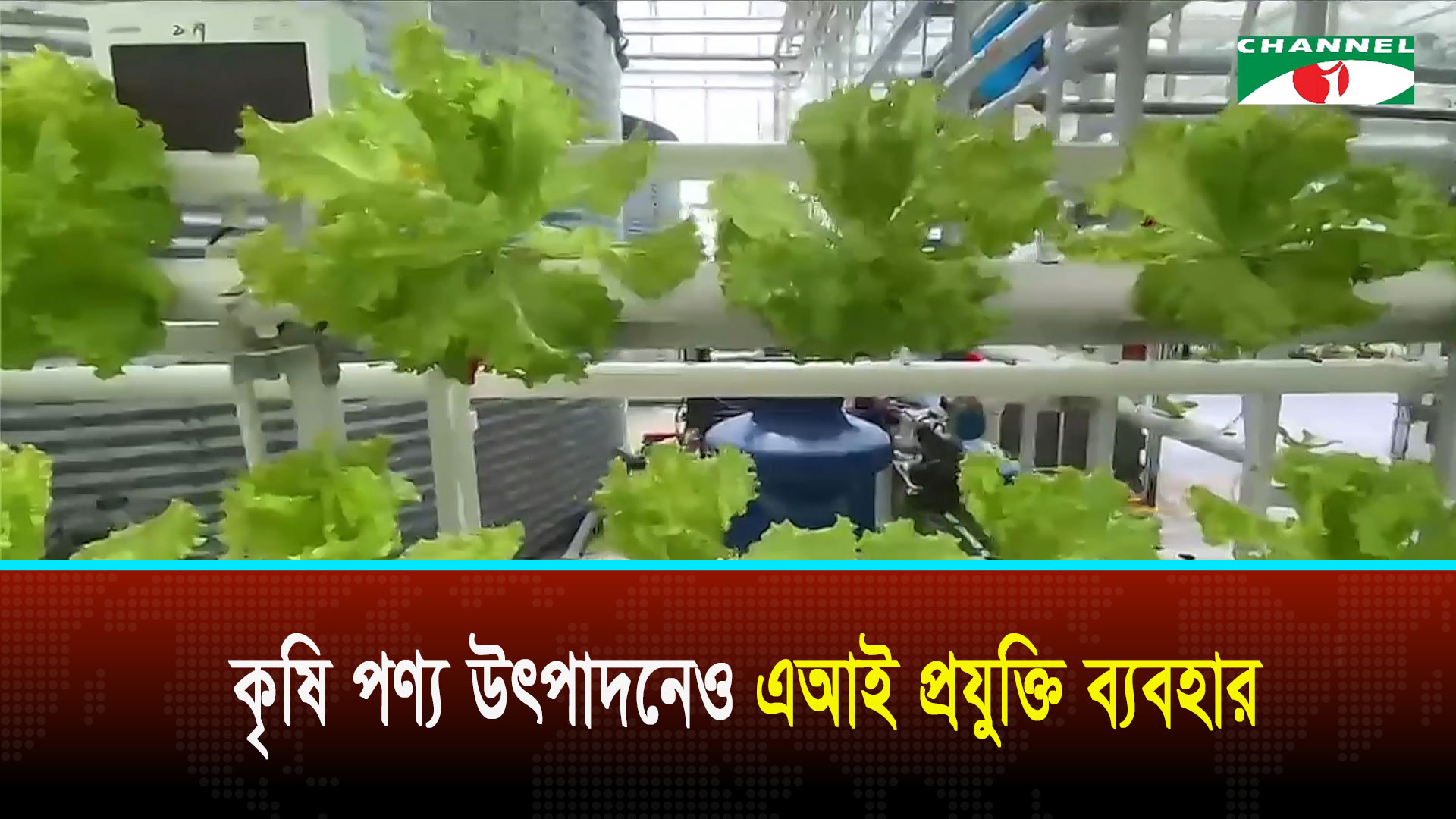 কৃষি পণ্য উৎপাদনেও এআই প্রযুক্তি ব্যবহার করছে চীন