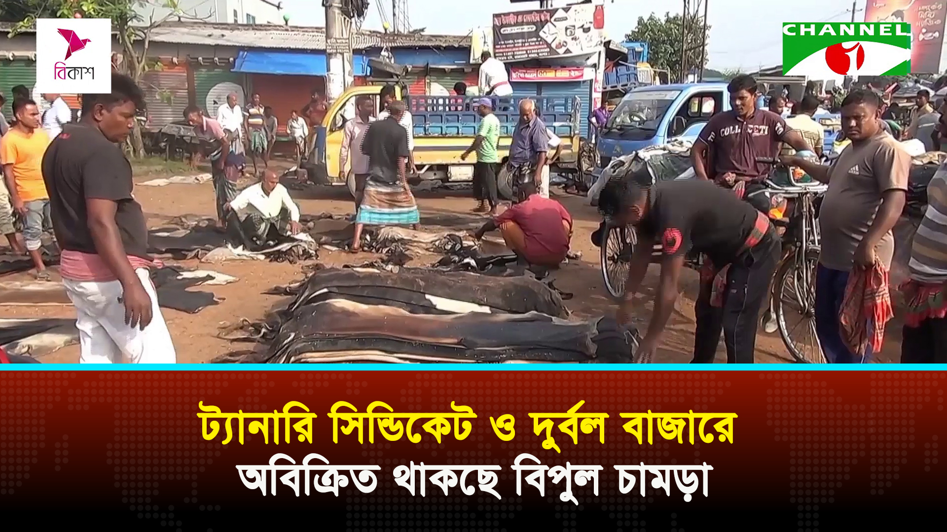 প্রতিযোগিতার অভাবে চামড়া বাজারে সিন্ডিকেট, দাবি বিশ্লেষকদের