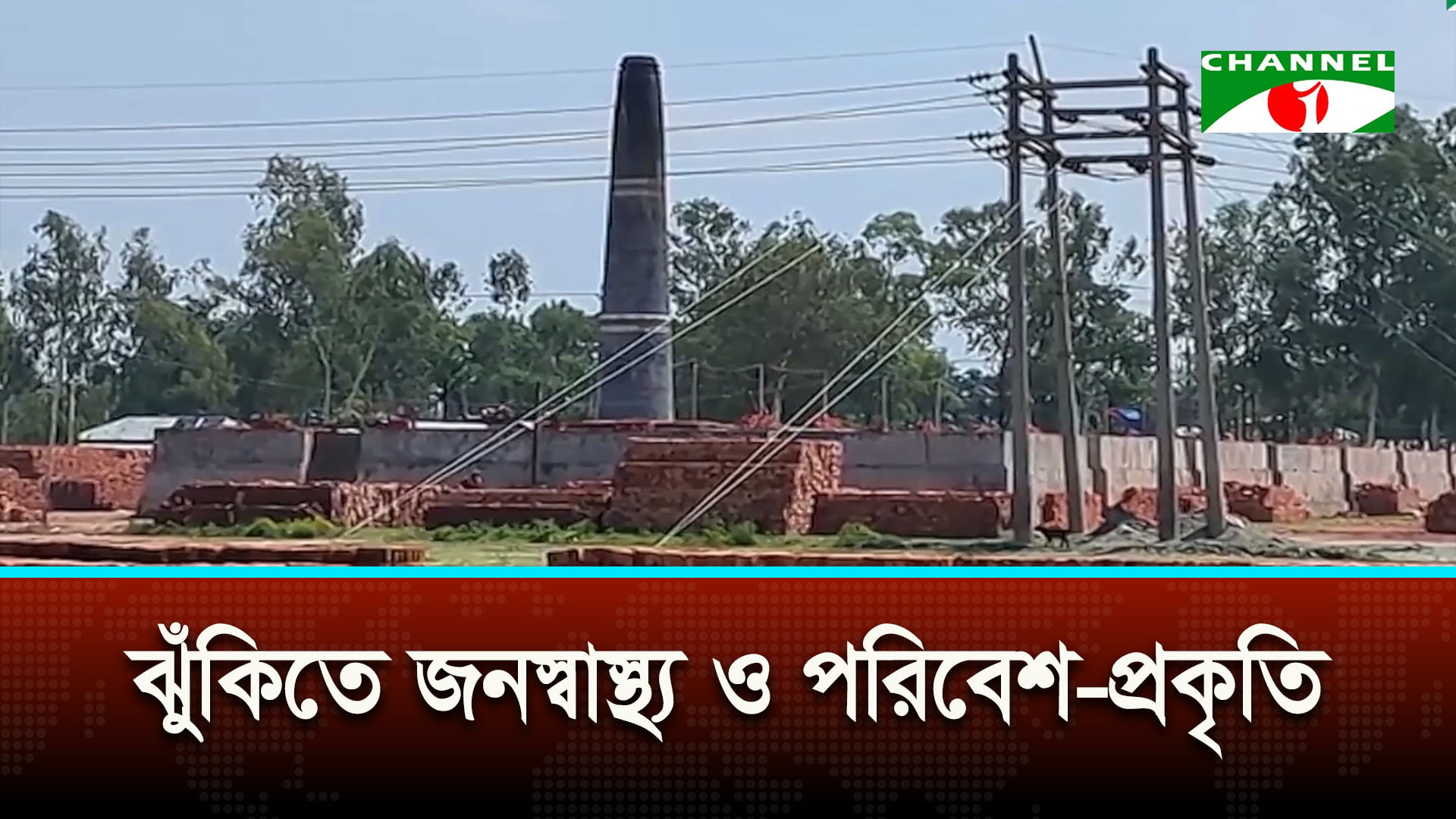 ইটভাটার বিষাক্ত ধোঁয়ায় নষ্ট হচ্ছে শত বিঘার ধান-পাটসহ বিভিন্ন ফল